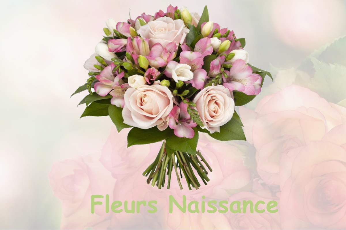 fleurs naissance THIMORY